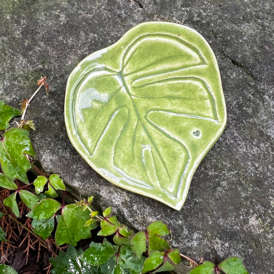 Leaf Dishes