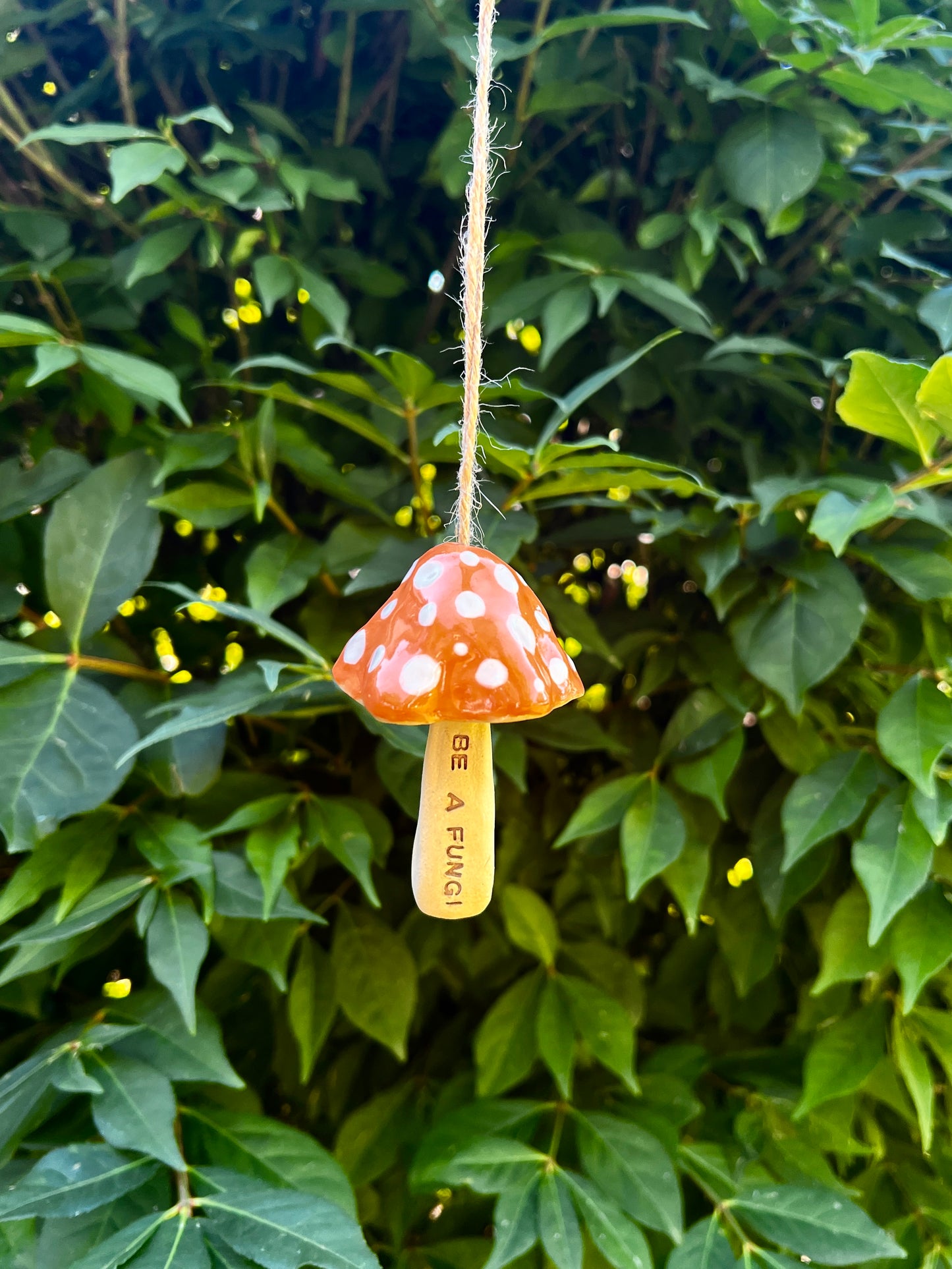 Hanging Mushrooms