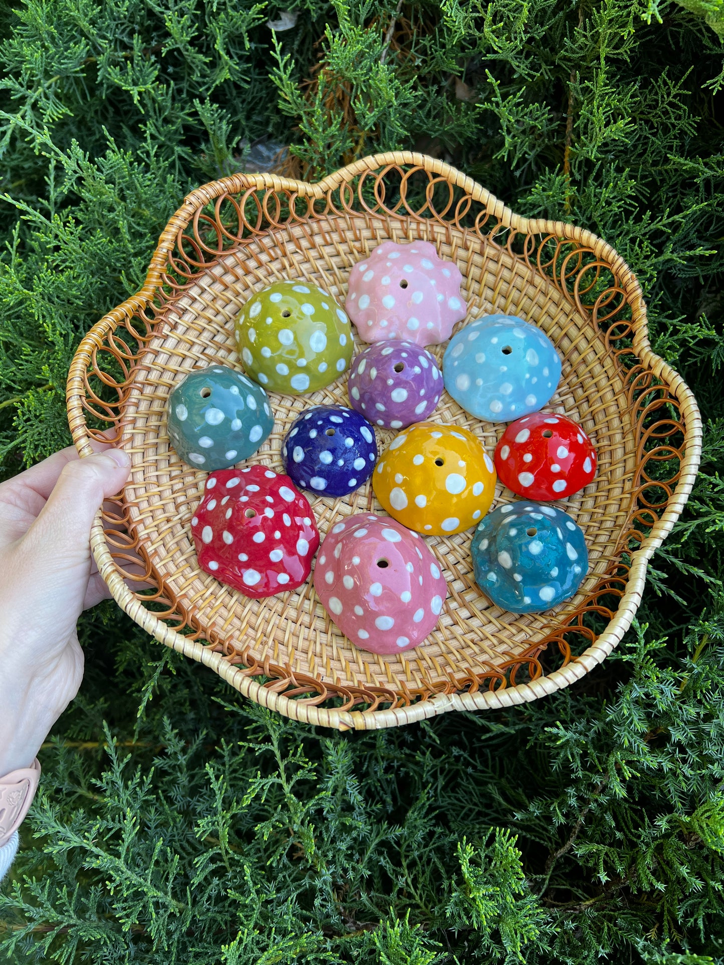 Hanging Mushrooms