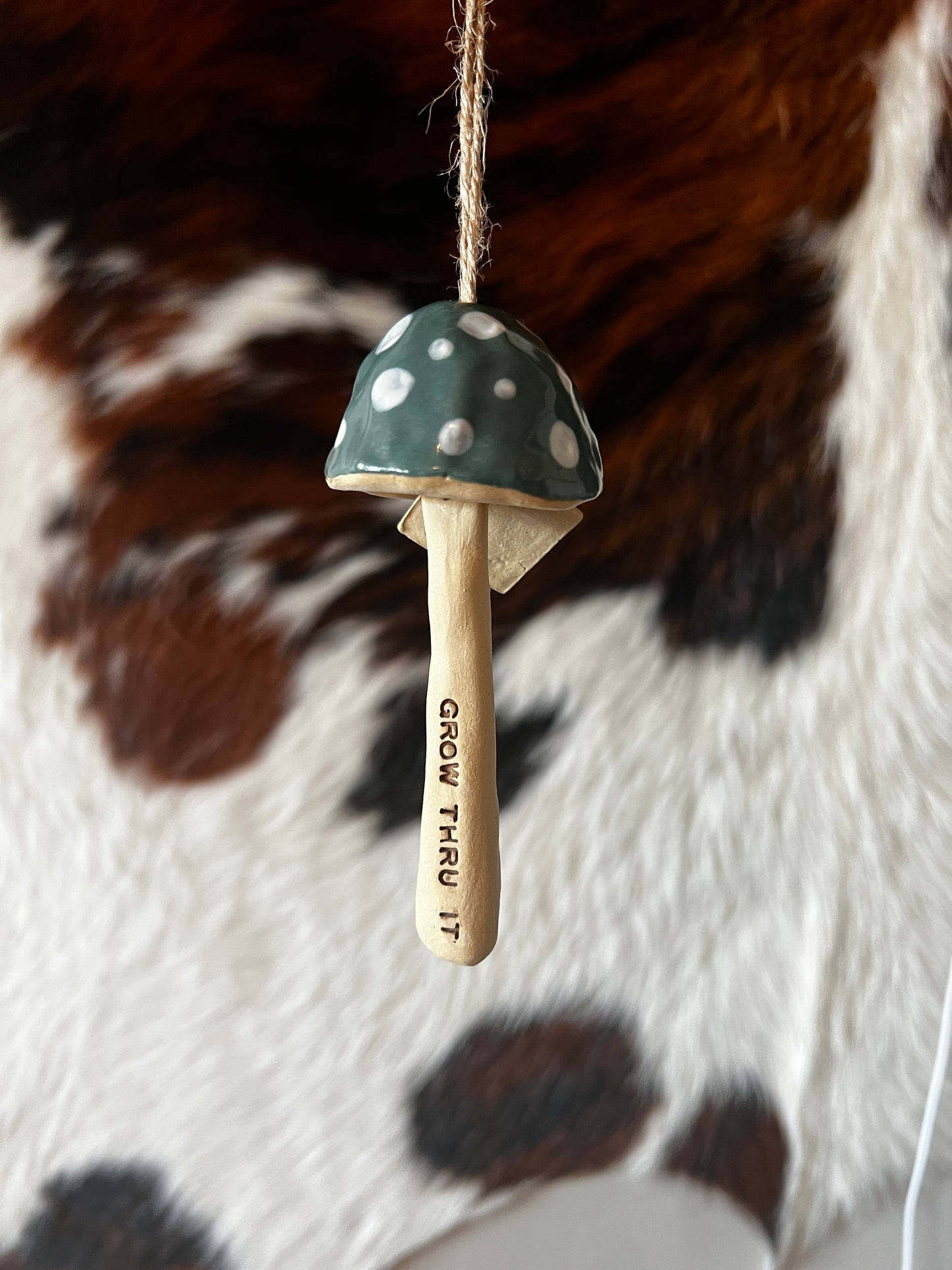 Hanging Mushrooms
