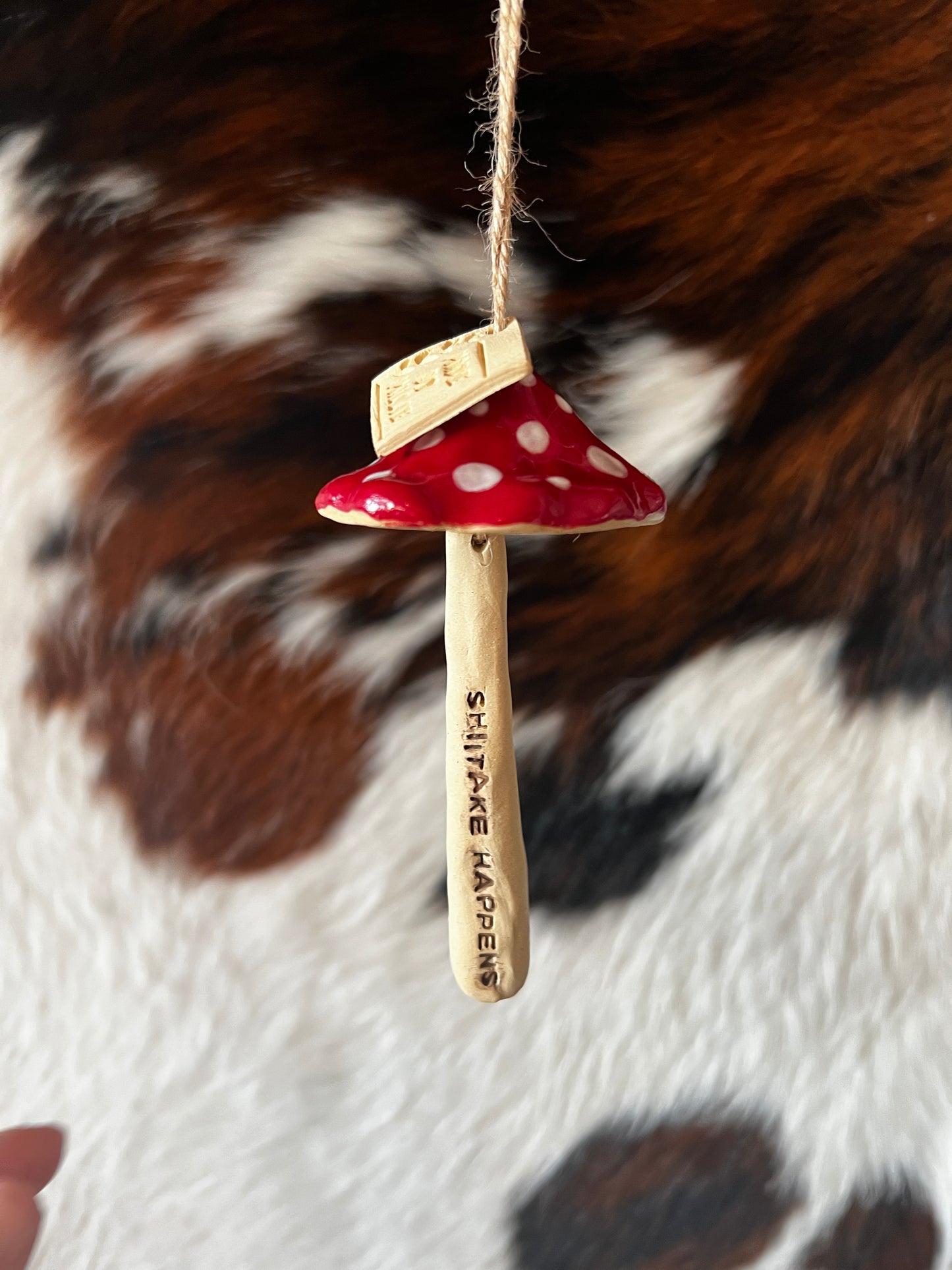 Hanging Mushrooms