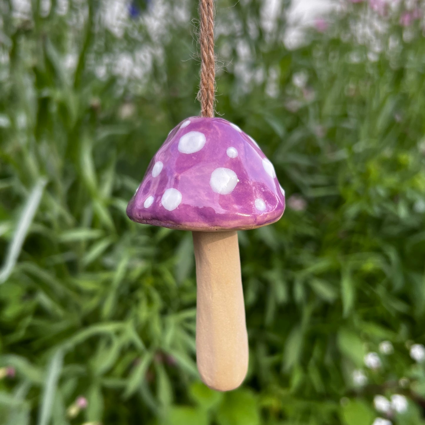 Hanging Mushrooms
