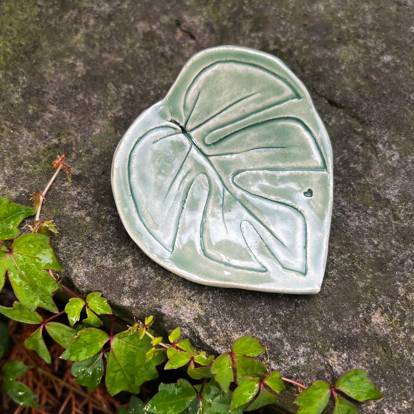 Leaf Dishes